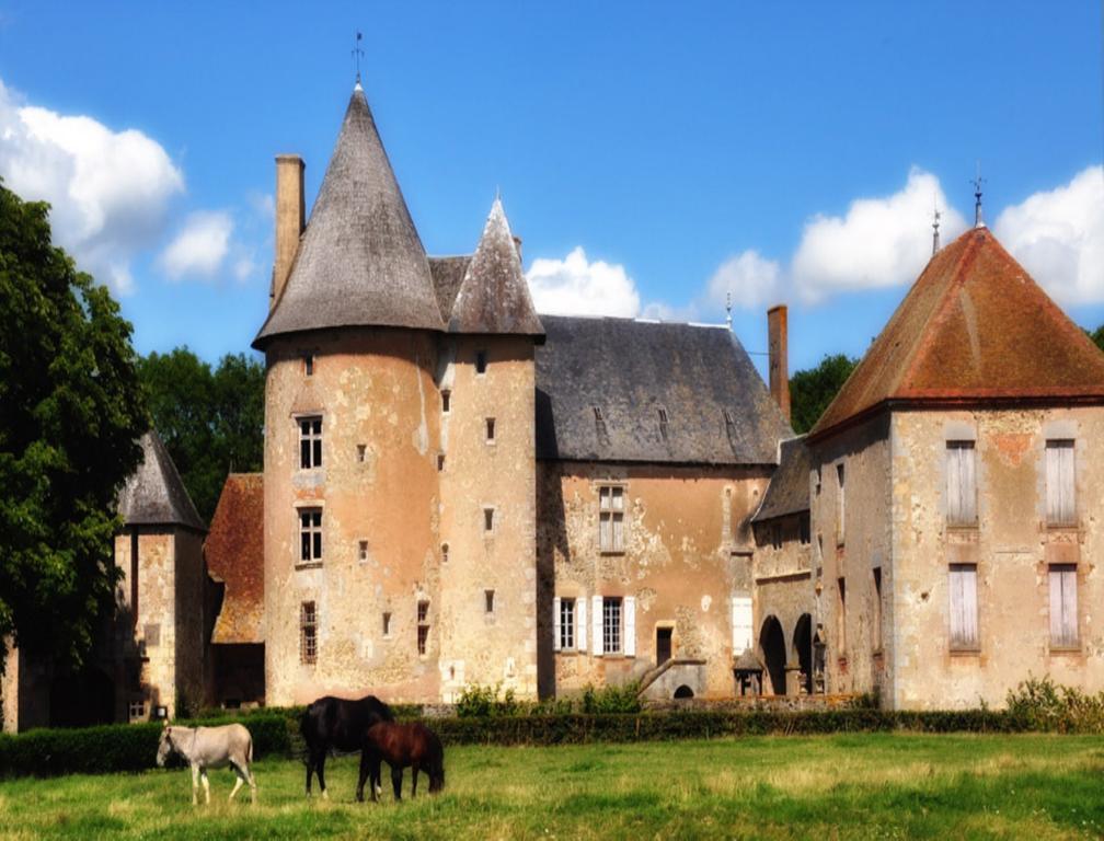 Chateau Du Max Le Theil  Екстер'єр фото